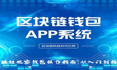 区块链观察钱包操作指南：从入门到精通