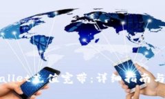 如何通过TPWallet充值宽带：详细指南与常见问题解