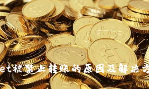 TPWallet被禁止转账的原因及解决方案解析