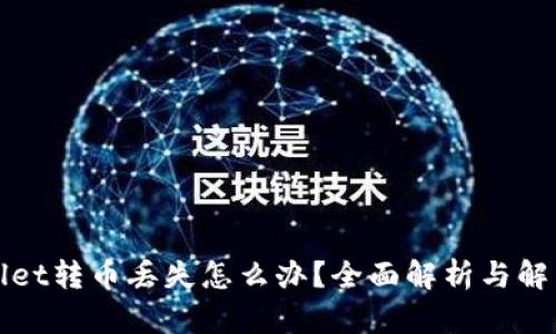 tpWallet转币丢失怎么办？全面解析与解决方案