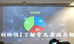 TP钱包到账慢？了解常见原因与解决方案