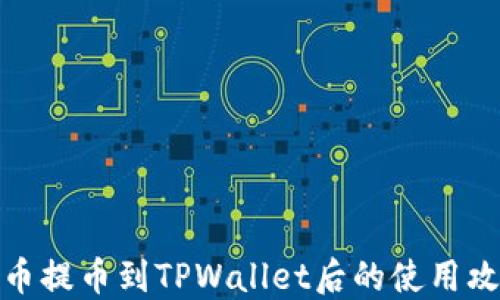 
火币提币到TPWallet后的使用攻略