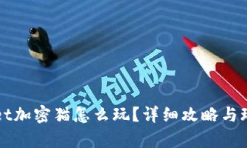 TPWallet加密猫怎么玩？详细攻略与玩法解析