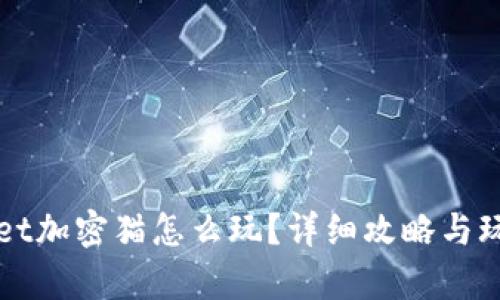 TPWallet加密猫怎么玩？详细攻略与玩法解析