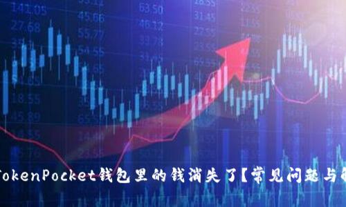 为什么TokenPocket钱包里的钱消失了？常见问题与解决方案