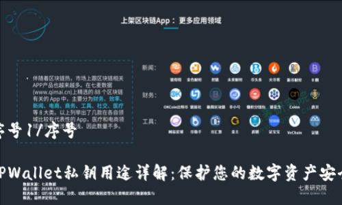 序号1/序号

TPWallet私钥用途详解：保护您的数字资产安全