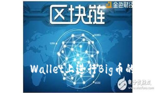如何在TP Wallet上进行Big币的博饼交易