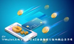 divTPWallet上的公链是什么？全面解析公链的概念与