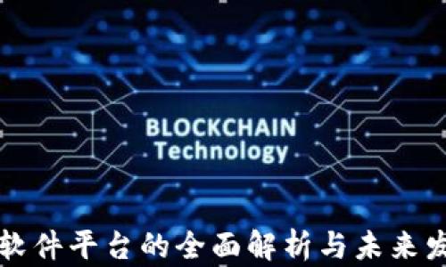 
区块链软件平台的全面解析与未来发展趋势
