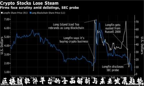
区块链软件平台的全面解析与未来发展趋势