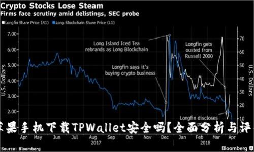 苹果手机下载TPWallet安全吗？全面分析与评估