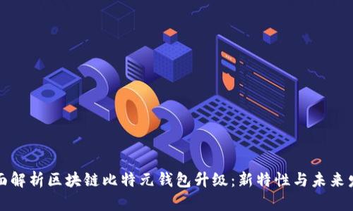 全面解析区块链比特元钱包升级：新特性与未来发展