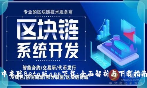 中本聪Beta版app下载：全面解析与下载指南