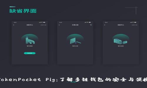 TokenPocket Pig：了解多链钱包的安全与便捷