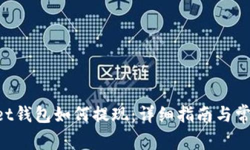 TokenPocket钱包如何提现：详细指南与常见问题解答