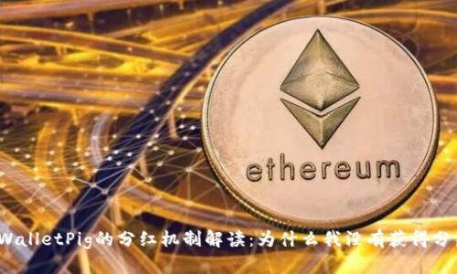 TPWalletPig的分红机制解读：为什么我没有获得分红？