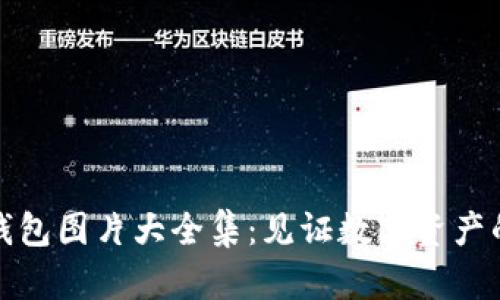 高清区块链钱包图片大全集：见证数字资产的安全与便捷