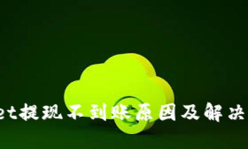 TP Wallet提现不到账原因及解决方案详解