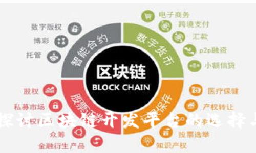 深入探讨区块链开发平台的选择与应用
