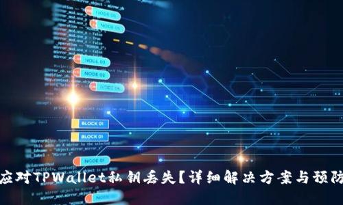 如何应对TPWallet私钥丢失？详细解决方案与预防措施
