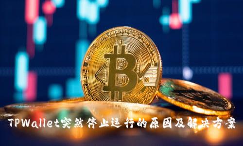 TPWallet突然停止运行的原因及解决方案